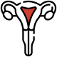 PCOS/PCOD